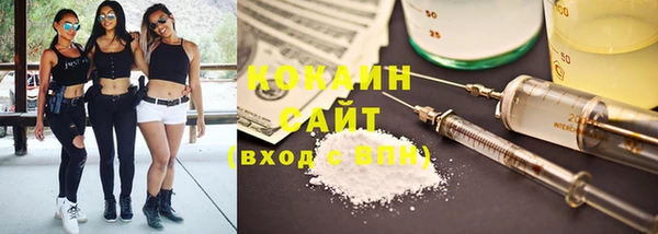 крисы Зерноград