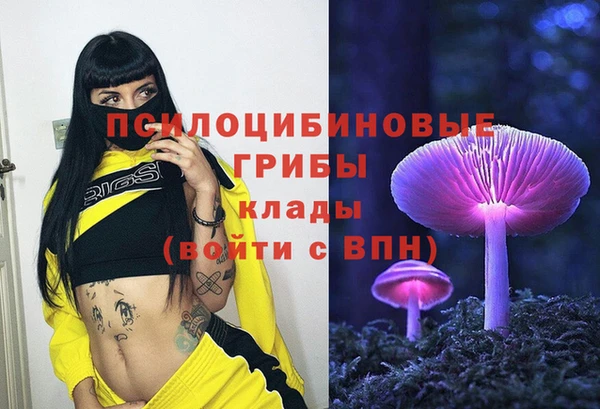 крисы Зерноград