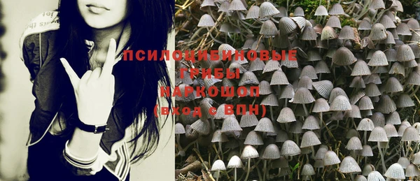 прущая мука Заводоуковск