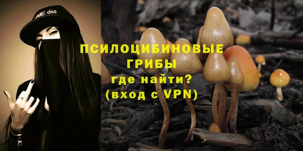 прущая мука Заводоуковск