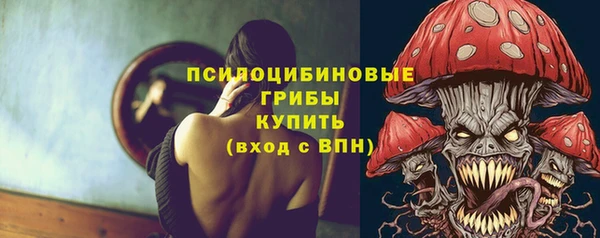 крисы Зерноград