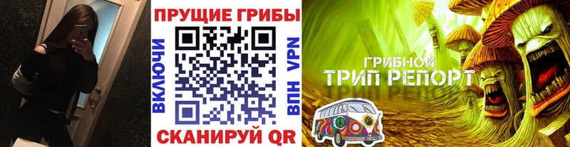 Купить закладки  Баксан  Галлюциногенные грибы прущие грибы 